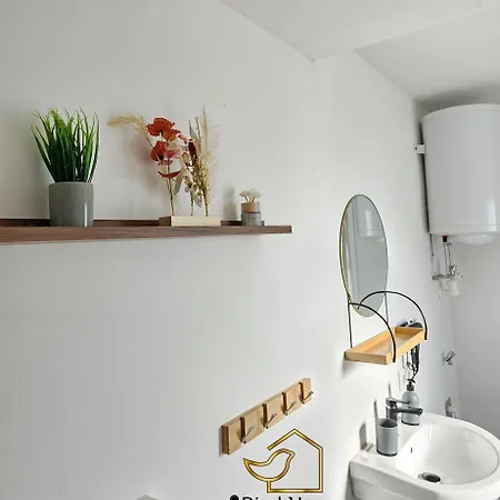 Bird 15 Klagenfurt am Woerthersee